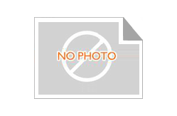 Protein 70 Percent Spray Dried Animal Plasma Used in Animal Feed Formulations to Improve Digestibility and Performance