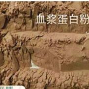 家禽の供給の添加物の製造業者は-乾燥されたアヒル血しょう蛋白質の粉、高度の加工技術、即刻のHigに吹きかける