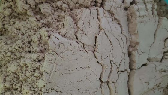 Hysicochemicalの供給の原料の鶏血しょう蛋白質の湿気8%