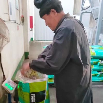 30kg家禽の供給の健康なドッグ フードの添加物の血の食事粉
