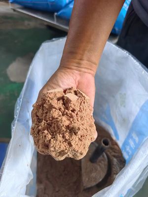 高 タンパク質 の ペット 食品 添加物 と 安全 な 栄養